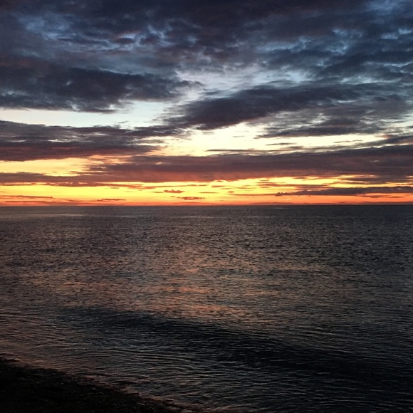 Meet your Posher, Posh - Picture 1 of 1